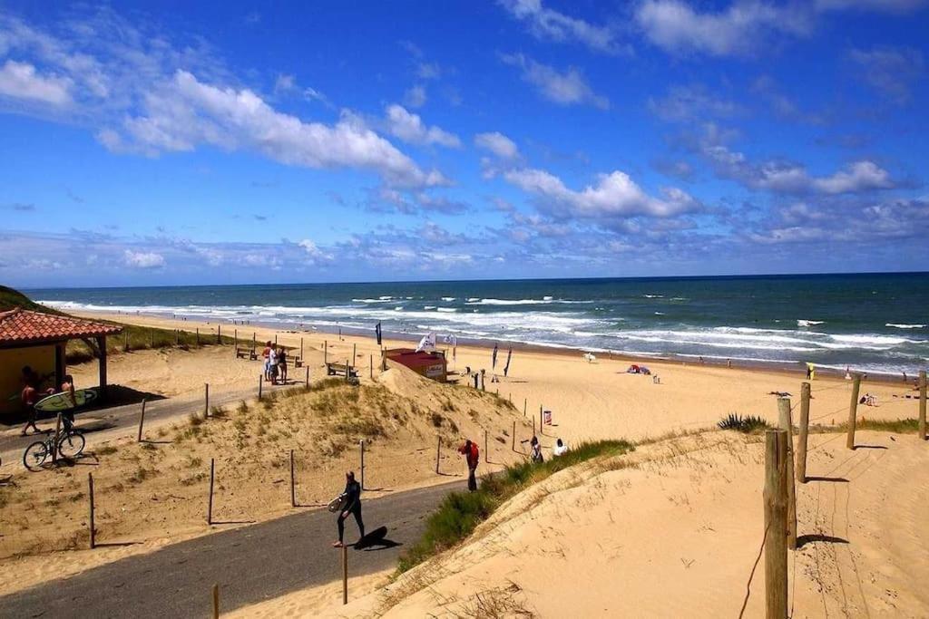 Dune Blanche 300 M De L'Ocean, Appartement Neuf 6 Personnes 세노스 외부 사진